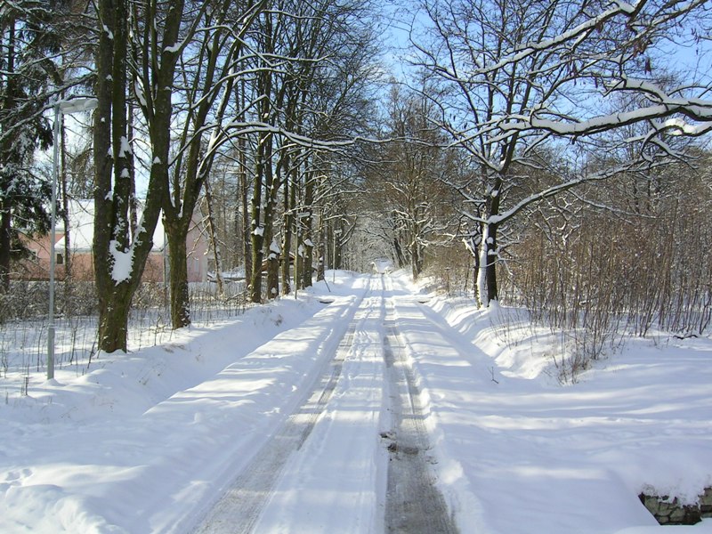 Zima v ulici Pod lesem.jpg